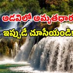 Hidden Waterfalls: తెలంగాణలోని స్విట్జర్లాండ్ ఇదే.. ‘ఫారిన్ ఫీలింగ్’ స్పాట్ మిస్ కావద్దు!