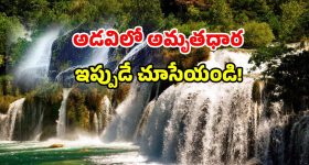Beetroot Benefits: బీట్ రూట్ తింటే.. ఎన్ని లాభాలుంటాయో తెలిస్తే ఆశ్చర్యపోతారు
