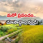 Telangana Dist: ఈ జిల్లాకు వెళ్తే… వట్టి చేతులతో తిరిగి రాలేరు!