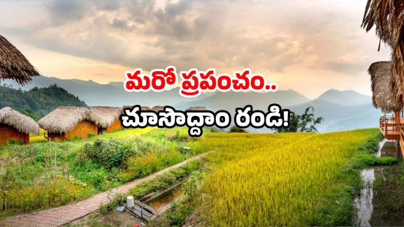 Telangana Dist: ఈ జిల్లాకు వెళ్తే… వట్టి చేతులతో తిరిగి రాలేరు!