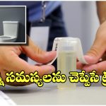 Kidney Health Check: ఈ చిన్న చిట్కాతో మీ కిడ్నీ సమస్యలను కనిపెట్టేయొచ్చు, టెస్టులు అవసరం లేదు!