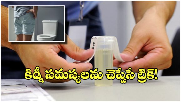 Kidney Health Check: ఈ చిన్న చిట్కాతో మీ కిడ్నీ సమస్యలను కనిపెట్టేయొచ్చు, టెస్టులు అవసరం లేదు!