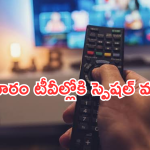 Today Movies in TV : ఈరోజు టీవి ఛానెల్లో వచ్చే సినిమాలు.. మూవీ లవర్స్ కు పండగే..