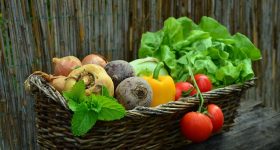 Moong Sprouts: మొలకెత్తిన పెసర్లు తింటే.. ఇన్ని లాభాలా ?