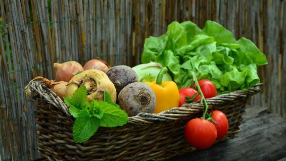 Diabetes: రక్తంలో చక్కెర స్థాయిలు తగ్గాలంటే ప్రతిరోజూ ఈ మూడు కూరగాయలు తినండి, మందులు వాడాల్సిన అవసరం తగ్గుతుంది