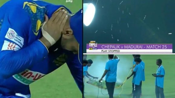 Bees Attack Players : మ్యాచ్ మధ్యలో తేనెటీగలు.. క్రికెటర్లకు నరకం చూపించాయి కదా