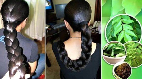 Curry Leaves For Hair: కరివేపాకులో ఈ ఒక్కటి కలిపి వాడితే.. జుట్టు వద్దన్నా పెరుగుతుంది