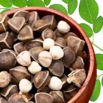Moringa Seeds:మునగ గింజలు తింటే.. ఇన్ని ప్రయోజనాలా ?