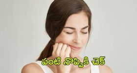 Toothache Home Remedies: పంటి నొప్పితో ఇబ్బంది పడుతున్నారా ? ఈ టిప్స్ మీకోసమే
