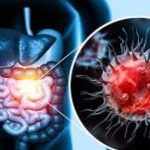 Cancer: క్యాన్సర్ ఏ అవయవాలకు త్వరగా వ్యాపిస్తుందో తెలుసా ?
