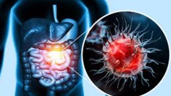Cancer: క్యాన్సర్ ఏ అవయవాలకు త్వరగా వ్యాపిస్తుందో తెలుసా ?