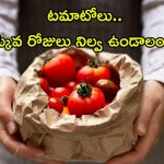 Tomato Storage Tips: ఈ టిప్స్ పాటిస్తే.. ఎన్ని రోజులైనా టమాటోలు ఫ్రెష్‌గా ఉంటాయ్