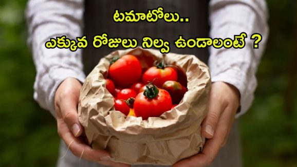 Tomato Storage Tips: ఈ టిప్స్ పాటిస్తే.. ఎన్ని రోజులైనా టమాటోలు ఫ్రెష్‌గా ఉంటాయ్