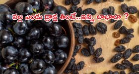 Collagen Skin Hair: కాంతివంతమైన చర్మం, మెరిసే జుట్టు కావాలా.. ఇవి తింటే మంచి ఫలితాలు