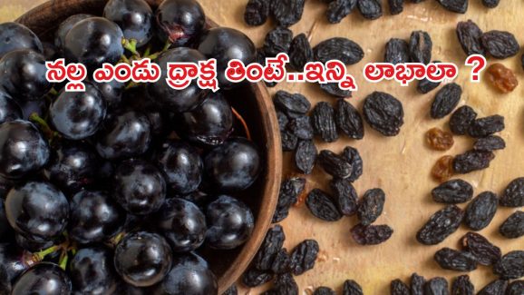 Black Raisins: నల్ల ఎండు ద్రాక్ష తింటే.. మతిపోయే లాభాలు !