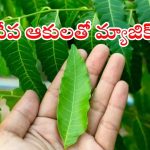 Neem Leaves Benefits: ఈ ఆకులతో అనేక ఆరోగ్య సమస్యలు పరార్ !