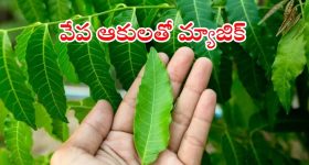 Crime News : దోచుకుంటాడు.. బాధితులతో కలిసి కంప్లైంట్ ఇస్తాడు.. ఆ దొంగ స్టైలే వేరు..