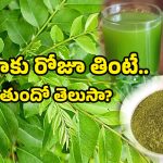 Health tips: కంటిచూపు పెరగడానికి నెంబర్ 1 ఆకు ఏంటో తెలుసా?