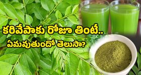 Castor Oil: ఆముదం ఇలా వాడితే.. చర్మం, జుట్టు సమస్యలు అస్సలు రావు !