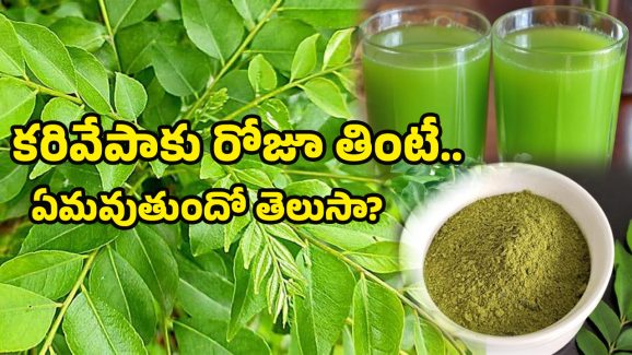 Health tips: కంటిచూపు పెరగడానికి నెంబర్ 1 ఆకు ఏంటో తెలుసా?