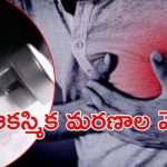 Heart Attack: ఆ మరణాలు అందుకే.. కేంద్రం క్లారిటీ