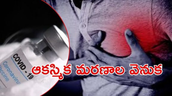 Heart Attack: ఆ మరణాలు అందుకే.. కేంద్రం క్లారిటీ