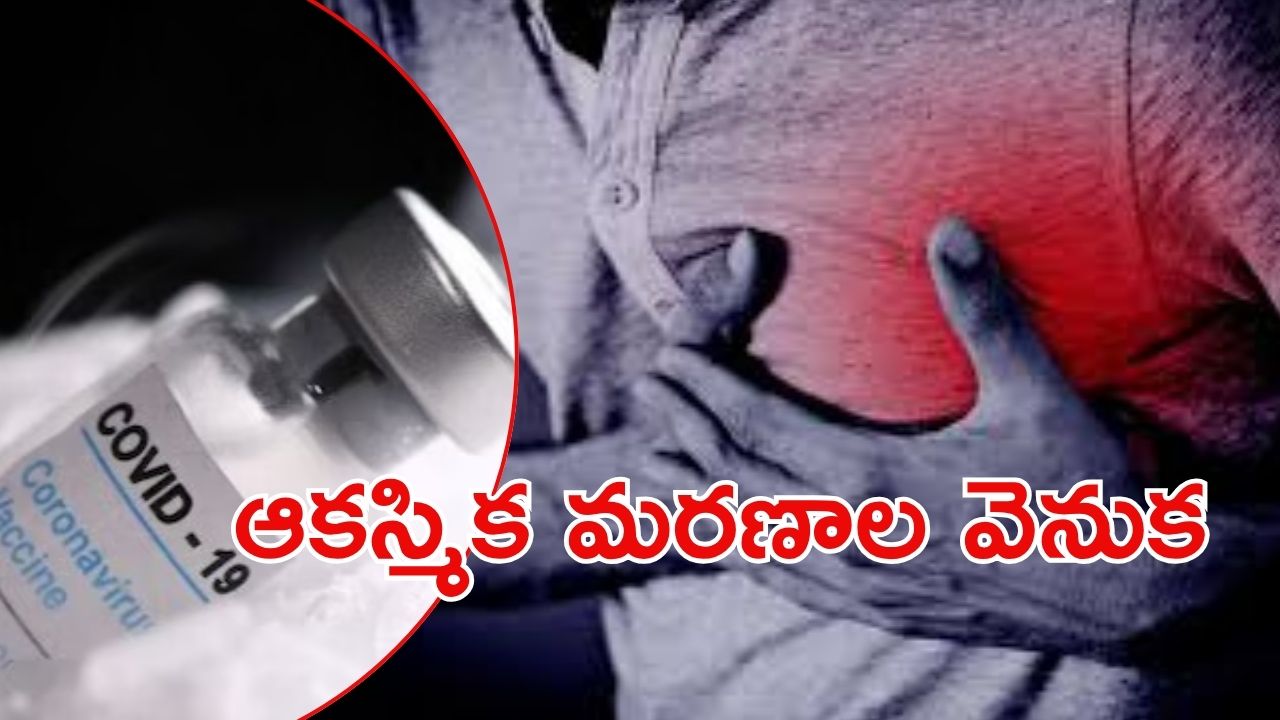 Heart Attack: ఆ మరణాలు అందుకే.. కేంద్రం క్లారిటీ