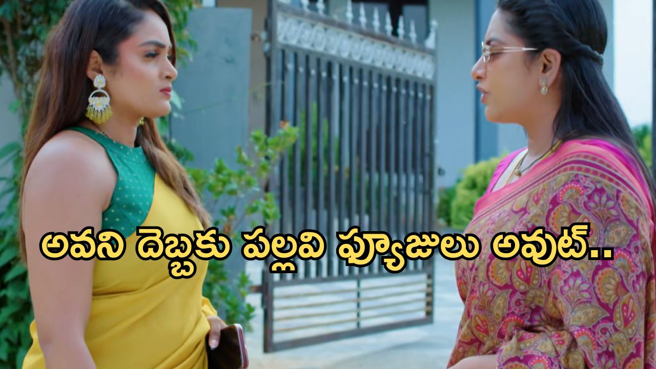 Intinti Ramayanam Today Episode: అవనికి హారతి ఇచ్చిన పల్లవి..పల్లవికి స్ట్రాంగ్ వార్నింగ్.. నెక్స్ట్ ప్లానేంటి?