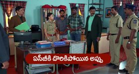 Tollywood: అజిత్ రేంజ్ లో వరల్డ్ వైడ్ గుర్తింపు.. ఈ హీరోయిన్ రికార్డ్స్ చూస్తే గుండె గుబేల్!