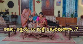 Intinti Ramayanam Today Episode: భర్తను కాపాడిన అవని.. భానుమతి వీక్నెస్ పై కొట్టిన కమల్.. ప్లాన్ వర్కౌట్ అయ్యినట్లే..?