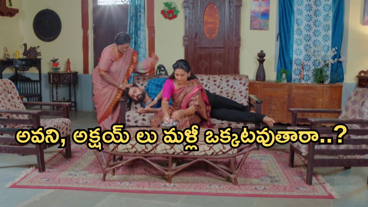 Intinti Ramayanam Today Episode: భర్తను కాపాడిన అవని.. భానుమతి వీక్నెస్ పై కొట్టిన కమల్.. ప్లాన్ వర్కౌట్ అయ్యినట్లే..?