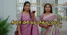 Illu Illalu Pillalu Today Episode: భాగ్యంకు నర్మద స్ట్రాంగ్ వార్నింగ్.. శ్రీవల్లికి మైండ్ బ్లాక్ అయ్యే షాక్..