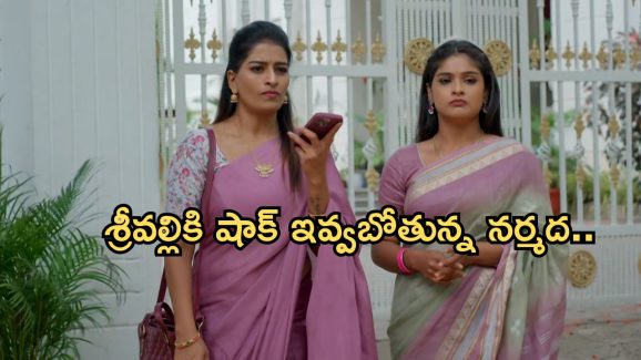 Illu Illalu Pillalu Today Episode: భాగ్యంకు నర్మద స్ట్రాంగ్ వార్నింగ్.. శ్రీవల్లికి మైండ్ బ్లాక్ అయ్యే షాక్..