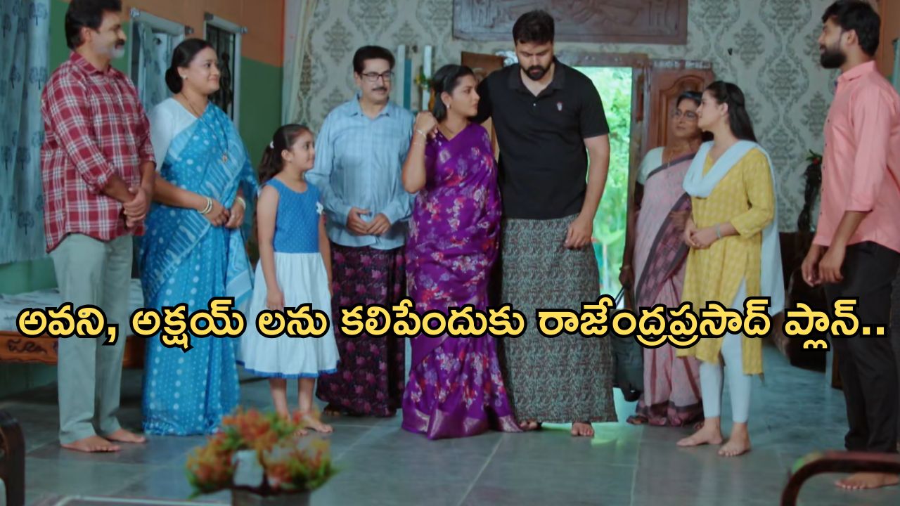 Intinti Ramayanam Today Episode: అక్షయ్ కు సీరియస్.. అవని ఇంట్లో పెయిడ్ గెస్ట్.. పార్వతి దెబ్బకు కోడళ్లు షాక్..
