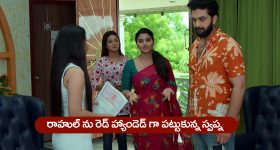 Karedu Farmers: ఏపీలో నిశబ్ద నిరసన.. అసలు కరేడులో ఏం జరుగుతోంది?
