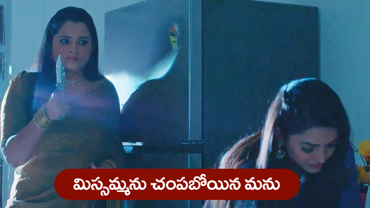 Nindu Noorella Saavasam Serial Today July 11th : ‘నిండు నూరేళ్ల సావాసం’ సీరియల్‌: మిస్సమ్మను చంపేందుకు మనోహరి ప్లాన్‌     