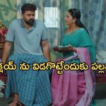 Intinti Ramayanam Today Episode: భర్తకు సేవలు చేస్తున్న అవని..పార్వతిని ఆడుకున్న రాజేంద్ర ప్రసాద్..