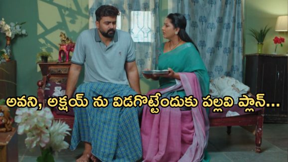 Intinti Ramayanam Today Episode: భర్తకు సేవలు చేస్తున్న అవని..పార్వతిని ఆడుకున్న రాజేంద్ర ప్రసాద్..