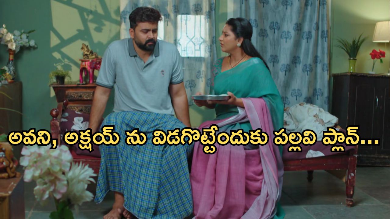 Intinti Ramayanam Today Episode: భర్తకు సేవలు చేస్తున్న అవని..పార్వతిని ఆడుకున్న రాజేంద్ర ప్రసాద్..
