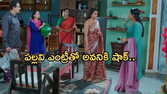 Intinti Ramayanam Today Episode: పార్వతికి దిమ్మతిరిగే షాక్.. ఎంక్వైరీ వచ్చిన పల్లవి.. అక్షయ్ గురించి నిజం తెలుస్తుందా..?