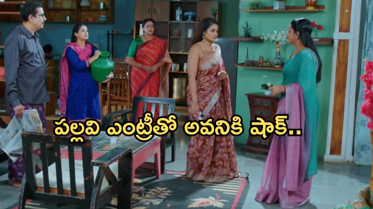 Intinti Ramayanam Today Episode: పార్వతికి దిమ్మతిరిగే షాక్.. ఎంక్వైరీ వచ్చిన పల్లవి.. అక్షయ్ గురించి నిజం తెలుస్తుందా..?