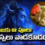 Puja Tips: దేవుని పూజకు పనికిరాని పువ్వులేవో తెలుసా..? అవి వాడితే పుణ్యం కన్నా పాపం చుట్టుకుంటుందట