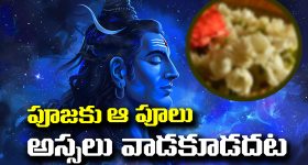 Puja Tips: దేవుని పూజకు పనికిరాని పువ్వులేవో తెలుసా..? అవి వాడితే పుణ్యం కన్నా పాపం చుట్టుకుంటుందట