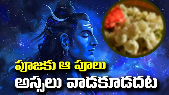 Puja Tips: దేవుని పూజకు పనికిరాని పువ్వులేవో తెలుసా..? అవి వాడితే పుణ్యం కన్నా పాపం చుట్టుకుంటుందట