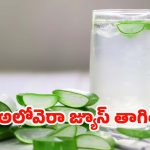 Aloe Vera Juice: కలబంద జ్యూస్ తాగితే.. ఈ రోగాలన్నీ పరార్ !