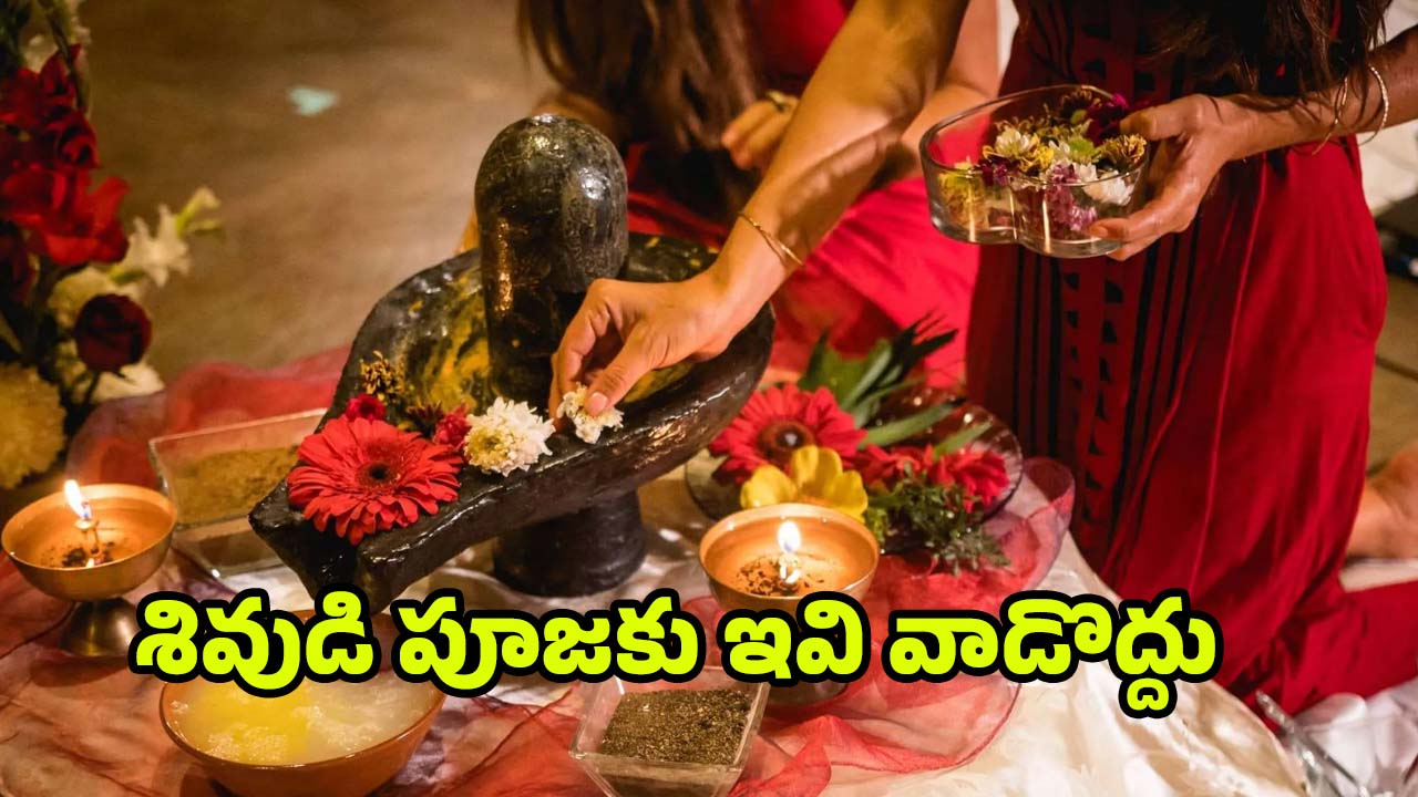 Lord Shiva Pooja: శివ పూజలో వీటిని పొరపాటున కూడా వాడొద్దు తెలుసా ?
