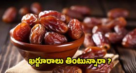 Dried Dates: రోజూ ఎండు ఖర్జూరాలు తింటే.. బోలెడు లాభాలు !