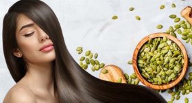 Hair care: డైలీ ఈ సీడ్స్ తింటే.. జుట్టు వద్దన్నా పెరుగుతుంది
