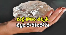 15 Carat Diamond Kurnool: కర్నూలులో దొరికిన భారీ వజ్రం.. లక్ అంటే ఈమెదే!