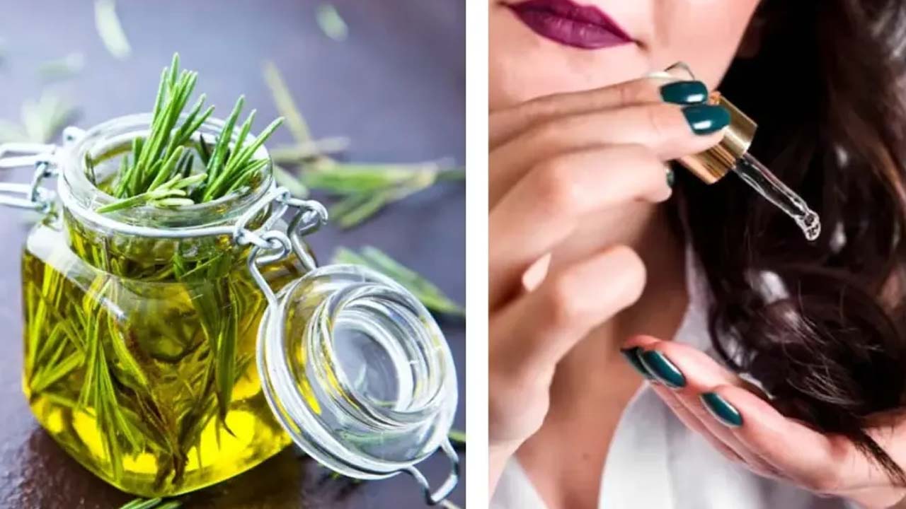 Rosemary Oil For Hair: ఖరీదైన ఆయిల్స్ అవసరమే లేదు, జుట్టుకు ఈ ఒక్క ఆయిల్ వాడితే చాలు !